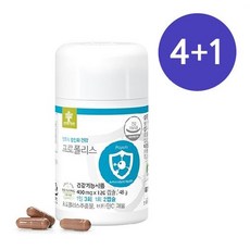 엔트리프로폴리스