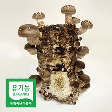 표고버섯배지