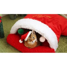 패트와매트모자