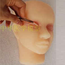 쌍커풀 수술 실습 모형 눈 절개 봉합 피부 사람인체구조 인체 보건 교육 안과 성형외과