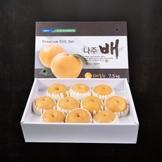 국내산 전남 나주 신고배 배 8kg 선물세트 특품 추석 과일 선물용 고급 프리미엄, 나주배선물세트 8kg(9~10과)