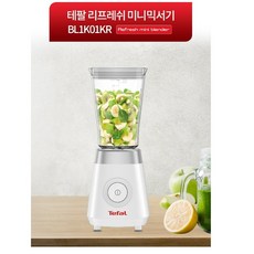 테팔bl2a01kr