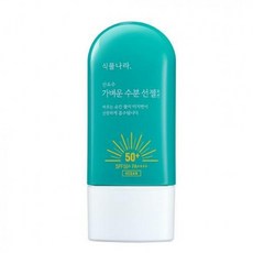 식물나라선젤