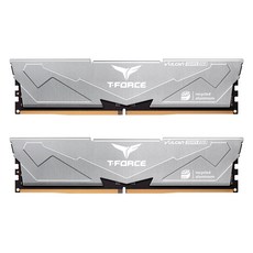TeamGroup T-Force DDR5-6000 CL30 Vulcan ECO 패키지 서린 32GB(16Gx2)