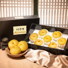 [아리팜] 맛있는 명절 선물용 나주배 5kg / 7.5kg, 1개, 고급 선물용 5kg (6~9과)