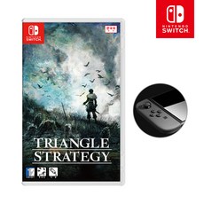 스위치트라이앵글