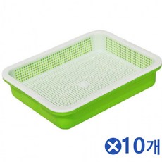 새싹재배 모종트레이x10개 씨앗심기 씨앗재배 텃밭, 퍼플