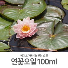 [제미니상사] 천연캐리어(베이스)오일 천연 화장품 비누 만들기, 연꽃오일_100ml