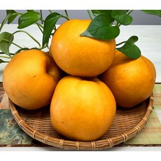 흠집배15kg