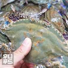 꽃게탕택배
