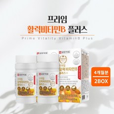 힘 기운 없을때 지칠때 육체 피로 체력 저하 조혈 에너지 필요할때 에 좋은 먹는 프리미엄 비타민 비 복합체 영양제 남성 여성 중년 장년, 2BOX(4개월분), 0.8g,