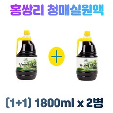 추천9매화마을