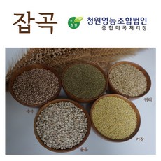 2020년 청차조 400g 청차좁쌀 차조쌀 잡곡 국내산 햇곡, 1개