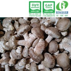 9200cde1b7f3957a3765e1a4ec2f5b834054922f72c88dc485f809b6d6c6.jpg