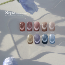 프롬더네일 빈티지한 자석젤 세피아 단품 택1 프롬자석젤 프롬세피아 가을네일 젤네일 컬러젤