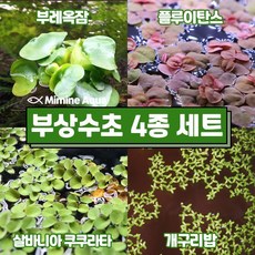 자연재배비트