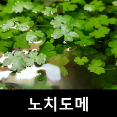 e81b2036eb9ef986384d0d6a57ed18203978ff6ee0a9cf9931a32bca26da.png
