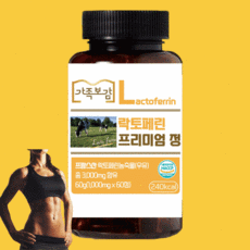 프랑스소도시
