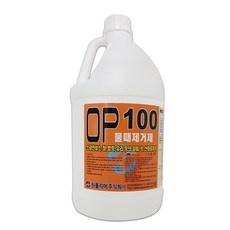 100×300유리타일