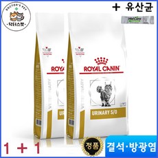 로얄캐닌 캣 유리너리 / 캣 유리너리 S/O 1.5kg 건사료 / 1 + 1 / 총 2개 / 결석 방광결석 처방식 + 추가 사은품 웰케어 유산균 