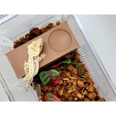 조이 클린 적재형 케이지 크레스티드게코 사육장