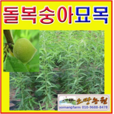 aba497ee5ea98e99cdec06d9bb56d79361b665d8382a8dacd35e95ad2a8a.jpg
