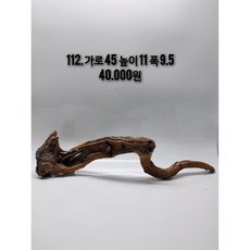 맹그로브 유목 (파충류 놀이터 은신처 선텐실 쉼터 테라리움 비바리움 수초활착 솟대 횃대), 1개