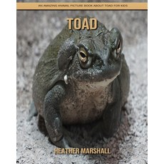 Toad: An Amazing Animal Picture Book about Toad for Kids Paperback, Independently Published