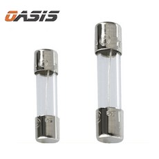 FUSE 유리관 휴즈 20mm 30mm 소형 대형 차량용퓨즈, 대형(6x30mm)100개, 10A, 1개