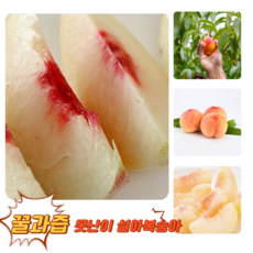 [굿피플] 황금당도 못난이 겨울복숭아 설아복숭아 복숭아, 1박스, 못난이 설아복숭아 1.2kg (3~5구)