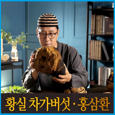 김오곤원장의 황실 차가버섯 홍삼환 명품 4.2g x30환 2세트 부모님 감사선물 환절기 면역력 증가, 홍삼, 홍삼