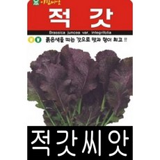 배라쿼터