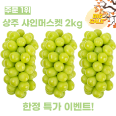 언택트마켓 고당도 탕후루 상주 샤인머스켓 2kg(3-4수), 1개