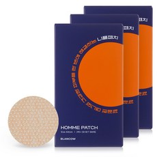 블랑카우 니플 패치 60매입(2매입x30SET), 3개, 60매입