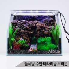 [올블루] 풀세팅 수반 테라리움 브라운 오픈형 유리어항 폭포 리뷰후기