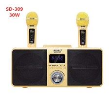 sd309