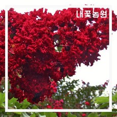 c8a9edce58f25ef380dc5052763bed201f7851f27a5d30dd4f6e95a78a56.jpg