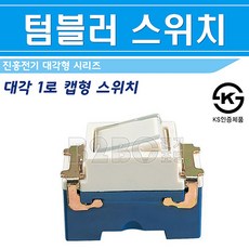 스위치구형