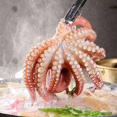 대구매천시장문어