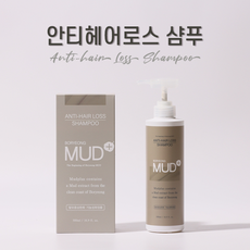 보령머드