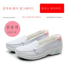 에르코엔간호화