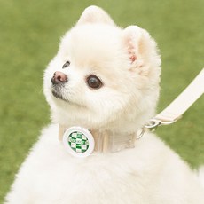 프로젝트21