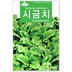 베이비시금치
