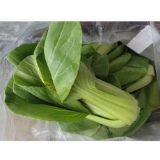 신선한 청경채 샐러드 쌈채소 국내산 청경채, 1개, 500g
