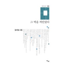 김이담시집