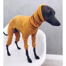아이쥐패딩 이탈리안그레이하운드 등지퍼 이지 웨어 입기편한 겨울 터틀넥 Whippet Onesies 이탈리아 그레, 04 YELLOW_01 S