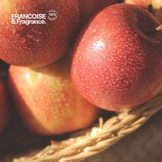 애플계면활성제