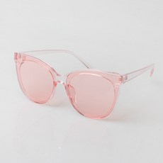 투명안경케이스작은사이즈