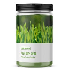 신서리티 어린 밀싹 분말 100g, 1개