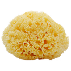 7dea10f960c0258508bc79fe382a7e8cee83dadc2dfa6a41b08cb47beb6a.png